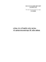 Báo cáo tài chính hợp nhất năm 2006 (đã kiểm toán) - Công ty cổ phần Xây dựng và Kinh doanh Địa ốc Hoà Bình