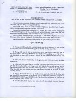 Nghị quyết Hội đồng Quản trị - Công ty Cổ phần Thể thao Ngôi sao Geru