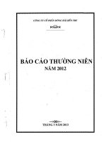 Báo cáo thường niên năm 2012 - Công ty Cổ phần Đông Hải Bến Tre