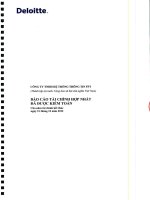 Báo cáo tài chính hợp nhất năm 2012 (đã kiểm toán) - Công ty Cổ phần Hệ thống Thông tin FPT
