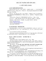 Báo cáo thường niên năm 2008 - CTCP Du lịch và Thương mại DIC