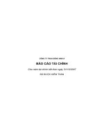 Báo cáo tài chính năm 2007 (đã kiểm toán) - Công ty cổ phần Đầu tư DNA