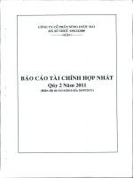 Báo cáo tài chính hợp nhất quý 2 năm 2011 - Công ty Cổ phần Nông dược H.A.I
