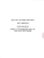 Báo cáo tài chính hợp nhất quý 1 năm 2016 - Công ty Cổ phần Bột giặt và Hoá chất Đức Giang