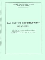 Báo cáo tài chính hợp nhất quý 2 năm 2011 - Công ty Cổ phần Tập đoàn Hoàng Long