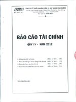Báo cáo tài chính quý 4 năm 2012 - Công ty Cổ phần Khoáng sản và Xây dựng Bình Dương