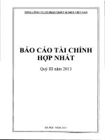 Báo cáo tài chính hợp nhất quý 3 năm 2013 - Tổng Công ty cổ phần Thiết bị điện Việt Nam