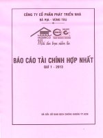 Báo cáo tài chính hợp nhất quý 1 năm 2013 - Công ty Cổ phần Phát triển nhà Bà Rịa-Vũng Tàu