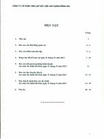 Báo cáo tài chính năm 2013 (đã kiểm toán) - Công ty Cổ phần Tấm lợp Vật liệu xây dựng Đồng Nai