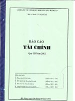 Báo cáo tài chính quý 3 năm 2012 - Công ty Cổ phần Đầu tư và Phát triển KSH