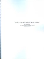 Báo cáo tài chính năm 2011 (đã kiểm toán) - Công ty Cổ phần Thương mại Bia Hà Nội