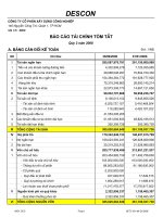 Báo cáo tài chính quý 2 năm 2008 - Công ty Cổ phần Xây dựng Công nghiệp DESCON