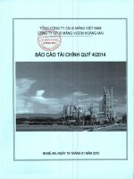 Báo cáo tài chính quý 4 năm 2014 - Công ty cổ phần Xi măng VICEM Hoàng Mai