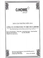 Báo cáo thường niên năm 2014 - Công ty cổ phần Đầu tư Dệt may G.Home