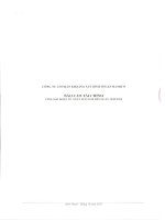 Báo cáo tài chính công ty mẹ quý 3 năm 2010 - Công ty Cổ phần Công nghiệp Khoáng sản Bình Thuận