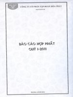 Báo cáo tài chính hợp nhất quý 1 năm 2011 - Công ty cổ phần Tập đoàn Hòa Phát