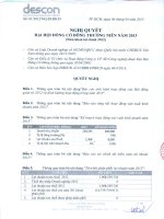 Nghị quyết Đại hội cổ đông thường niên năm 2013 - Công ty Cổ phần Xây dựng Công nghiệp DESCON