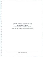 Báo cáo tài chính quý 2 năm 2010 (đã soát xét) - Công ty Cổ phần Xi măng Vicem Hải Vân