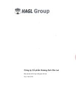 Báo cáo tài chính hợp nhất quý 1 năm 2015 - Công ty Cổ phần Hoàng Anh Gia Lai