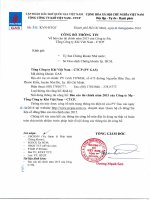 Báo cáo tài chính công ty mẹ quý 4 năm 2015 - Tổng Công ty Khí Việt Nam-CTCP