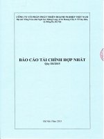 Báo cáo tài chính hợp nhất quý 3 năm 2015 - Công ty Cổ phần Đầu tư và Phát triển Doanh nghiệp Việt Nam