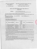 Báo cáo tình hình quản trị công ty - Công ty Cổ phần Tập đoàn Nhựa Đông Á