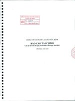 Báo cáo tài chính quý 2 năm 2011 (đã soát xét) - Công ty Cổ phần Cao su Hòa Bình