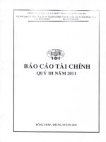 Báo cáo tài chính quý 3 năm 2011 - Công ty Cổ phần Đầu tư và Phát triển Đa Quốc Gia I.D.I