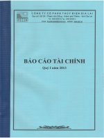 Báo cáo tài chính quý 1 năm 2013 -  Công ty Cổ phần Thủy điện Gia Lai