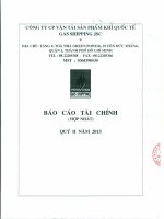 Báo cáo tài chính hợp nhất quý 2 năm 2013 - Công ty cổ phần Vận tải Sản phẩm khí quốc tế