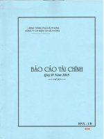 Báo cáo tài chính công ty mẹ quý 2 năm 2015 - Công ty Cổ phần Điện Cơ Hải Phòng