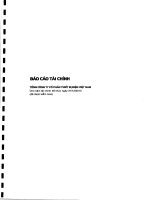 Báo cáo tài chính công ty mẹ năm 2013 (đã kiểm toán) - Tổng Công ty cổ phần Thiết bị điện Việt Nam