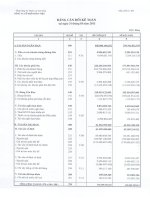 Báo cáo tài chính quý 1 năm 2013 - Công ty Cổ phần Hòa Việt