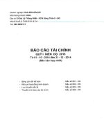Báo cáo tài chính hợp nhất quý 1 năm 2015 - Công ty Cổ phần Tập đoàn Hoa Sen