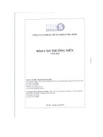 Báo cáo thường niên năm 2014 - Công ty Cổ phần Chứng khoán Hòa Bình
