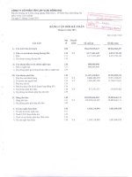 Báo cáo tài chính quý 4 năm 2011 - Công ty Cổ phần Tấm lợp Vật liệu xây dựng Đồng Nai