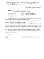 Báo cáo tài chính hợp nhất quý 4 năm 2014 - Công ty Cổ phần Tập đoàn Đại Châu