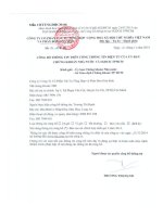 Báo cáo tài chính hợp nhất quý 3 năm 2014 - Công ty Cổ phần Vật tư tổng hợp và Phân bón Hóa sinh