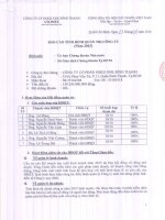 Báo cáo tình hình quản trị công ty - Công ty Cổ phần Sản xuất Kinh doanh Xuất nhập khẩu Bình Thạnh