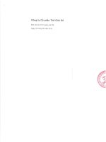 Báo cáo tài chính quý 2 năm 2015 - Công ty cổ phần Thế giới số