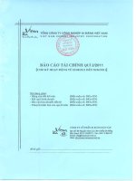 Báo cáo tài chính quý 2 năm 2011 - Công ty Cổ phần Xi măng Vicem Hải Vân