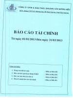 Báo cáo tài chính quý 1 năm 2013 - Công ty cổ phần Thương mại và Khai thác Khoáng sản Dương Hiếu