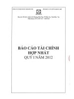 Báo cáo tài chính hợp nhất quý 1 năm 2012 - Công ty Cổ phần Dược phẩm Bến Tre
