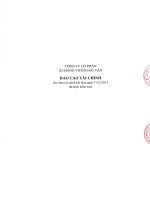 Báo cáo tài chính năm 2013 (đã kiểm toán) - Công ty Cổ phần Xi măng Vicem Hải Vân