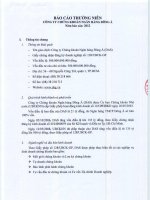 Báo cáo thường niên năm 2012 - Công ty Cổ phần Máy - Thiết bị Dầu khí Đà Nẵng