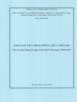 Báo cáo tài chính công ty mẹ quý 3 năm 2015 - Công ty cổ phần Đầu tư F.I.T