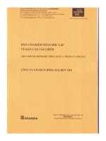 Báo cáo tài chính năm 2013 (đã kiểm toán) - Công ty Cổ phần Đông Hải Bến Tre