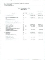 Báo cáo tài chính quý 1 năm 2011 - Công ty Cổ phần Tấm lợp Vật liệu xây dựng Đồng Nai