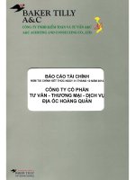 Báo cáo tài chính năm 2014 (đã kiểm toán) - Công ty cổ phần Tư vấn-Thương mại-Dịch vụ Địa ốc Hoàng Quân