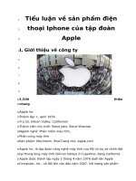 Tiểu luận về sản phẩm điện thoại iphone của tập đoàn apple phân tích marketing mix